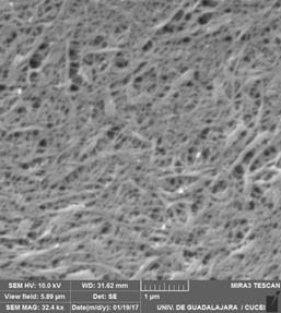 Imágenes SEM de la superficie de la membrana a escala microscópica 5 µm