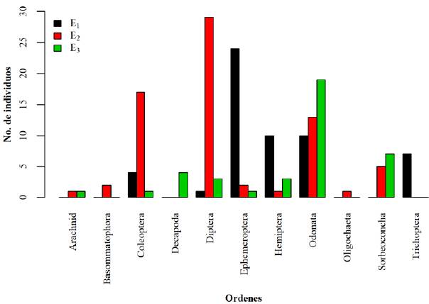 Distribución espacial de los órdenes de macroinvertebrados acuáticos colectados en el área de estudio 