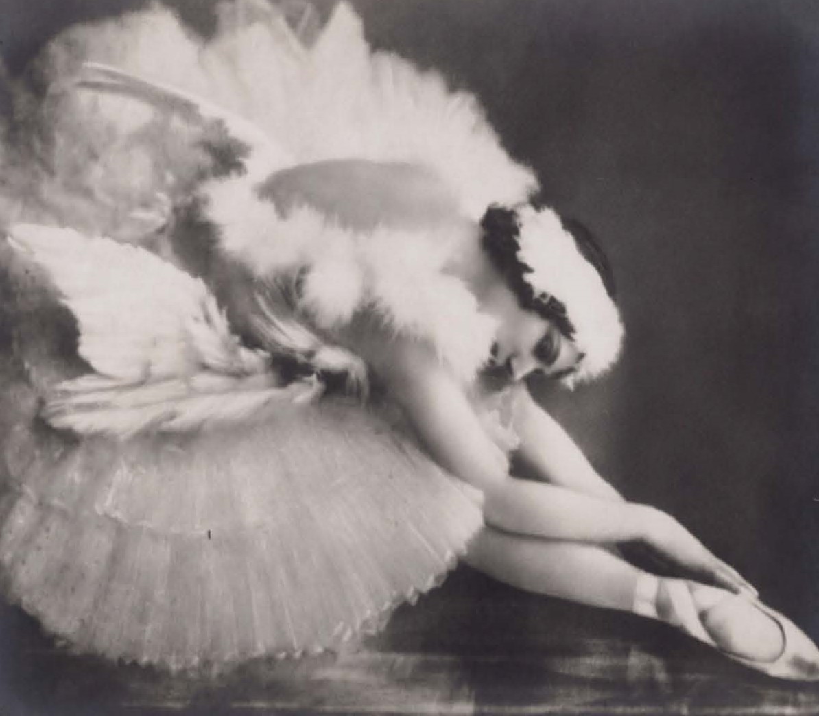 Figura 2: The Dying Swan (1928). Fonte: National Portrait Gallery, Londres