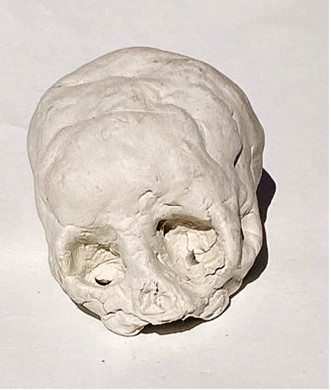 Figura. 14. Representación de un cráneo de un niño de 8 años. Pasta de modelar endurecible.