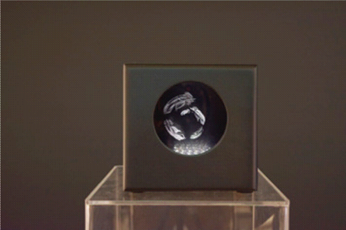 Obra Caída perpetua.