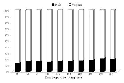 Redistribución de biomasa (%) en plantas de D. guianense entre la raíz y el vástago 300 días después del trasplante.