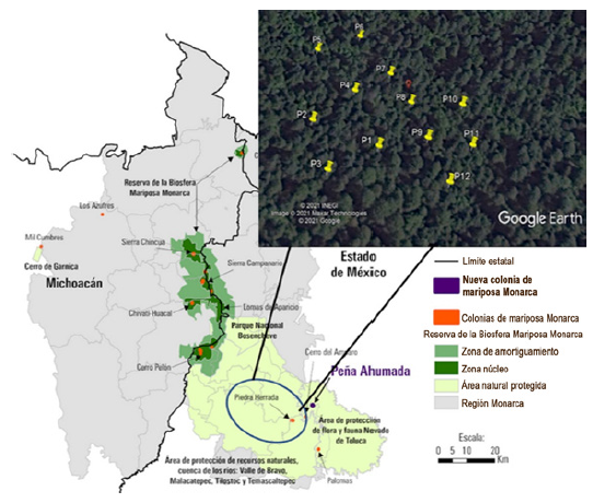 Reserva de la Biosfera Mariposa Monarca y el área de estudio Santuario Piedra Herrada (tomado y modificado de Rendón-Salinas et al., 2018).