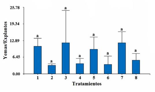 Efecto de los tratamientos sobre el número promedio de yemas por explantes en los segmentos de hojas y entrenudos sin diferencias significativas entre tratamientos, a un nivel de confianza de 0.05