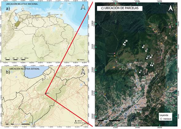 Ubicación del área de estudio de los bosques periurbanos de Mérida, Venezuela: (a) relativa nacional, (b) relativa estadal y (c) ubicación de las parcelas.