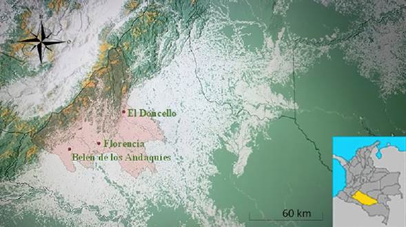 Localización del área de estudio: El Doncello, Florencia y Belén de los Andaquíes, Caquetá, Colombia.