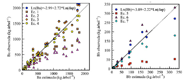 Comparación de los estimados de los modelos de mejor ajuste para la estimación de la biomasa aérea y subterránea de árboles individuales de Hevea brasiliensis en el departamento del Caquetá, Colombia, y los recomendados por Brahma et al. (2017) (Ec. 1: B a = exp (−3.31+0.95∗Ln dap 2 ∗at ) ∗1.02 y Ec. 5: 𝐵 𝑏 = 𝑒𝑥𝑝 (−2.64+0.60∗𝐿𝑛 𝑑𝑎𝑝 2 ∗𝑎𝑡 ) ∗1.04), de Monroy-Rivera y Návar-Cháidez (2004) (Ec. 2: 𝐵 𝑎 =−548.448+0.008684∗ 𝑑𝑎𝑝 2 ∗𝑎𝑡+27.48∗𝑎𝑡+6.949∗𝑑𝑎𝑝), de Moreno et al. (2005) (Ec. 3: 𝐵 𝑎 =0.0041∗ 𝑐𝑎𝑝 2.596 y Ec. 6: 𝐵 𝑏 =0.0022∗ 𝑐𝑎𝑝 2.357 ) y de Sone et al. (2014) (Ec. 4: 𝐵 𝑎 =0.144∗ 𝑑𝑎𝑝 2.40 y Ec. 7: 𝐵 𝑏 =0.0661∗ 𝑑𝑎𝑝 2.02 ). B
 a
 : biomasa aérea (kg.árbol-1); B
 b
 : biomasa subterránea (kg.árbol-1); DAP: diámetro a la altura del pecho (cm); AT: altura total (m); CAP: circunferencia del tronco a la altura del pecho (cm). Las líneas continúan representan el rango de biomasa donde se recomienda la aplicación de los modelos desarrollados.