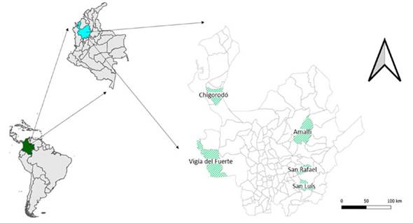 Geographical location of the municipalities from which the five accessions of Genipa americana come. Place of evaluation: Amalfi, Antioquia, Colombia.