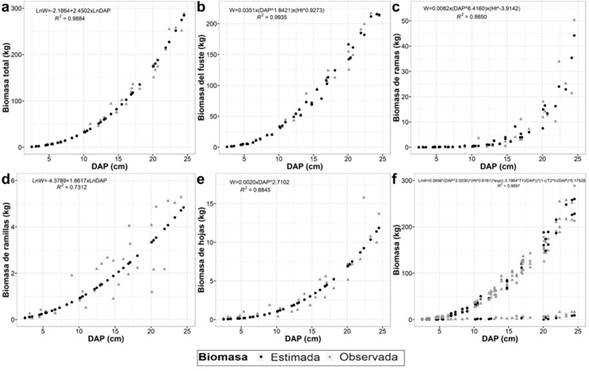 Distribución de biomasa observada y estimada en rebrotes de E. viminalis de 9 años en un sistema silvopastoril instalado a 3 x 1.5 m, Cajamarca, Perú