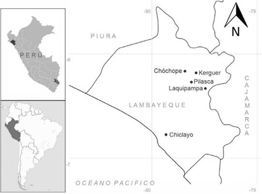 Collection map of Ficus americana and F. obtusifolia in the Lambayeque region (Peru)