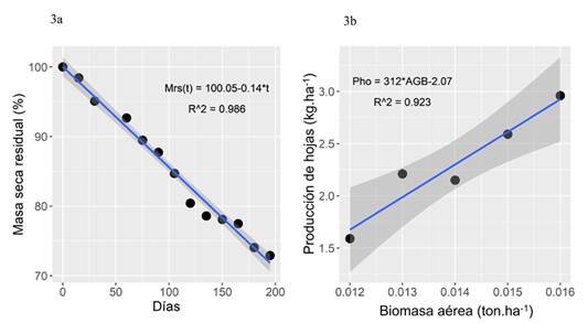 a) Modelo de regresión lineal entre la masa seca residual y días; b) modelo de regresión lineal para la estimación de la producción de hojas en función de la biomasa en la categoría diamétrica latizal.