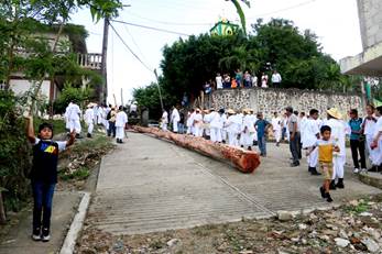 Imagen 6. Arrastre. Ceremonia de sembrado de Sakatkiwi. El Volador, Papantla, Veracruz. Fotografía: José F. Corte (2022).