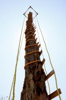 Imagen 8. Sakatkiwi. El Volador, Papantla, Veracruz. Fotografía: José F. Corte (2022).