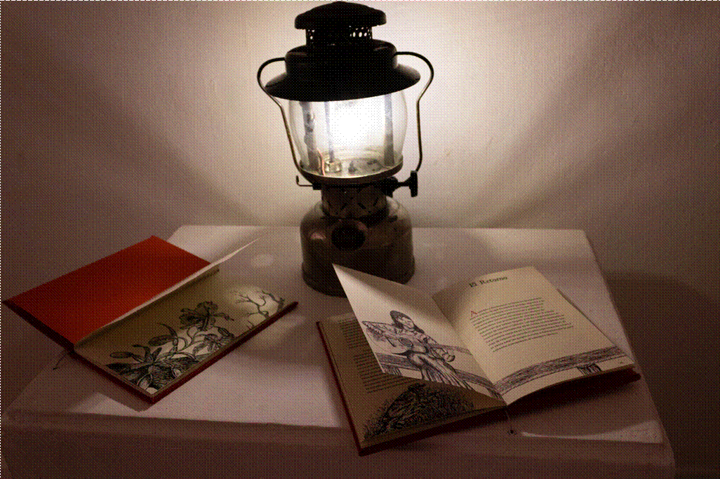 Valentina Avella Romero, Reminiscencias del Sumapaz: Imágenes de vida, lucha y resistencia campesina (2024) (Detalle). Fotografía, video, objetos. Instalación.