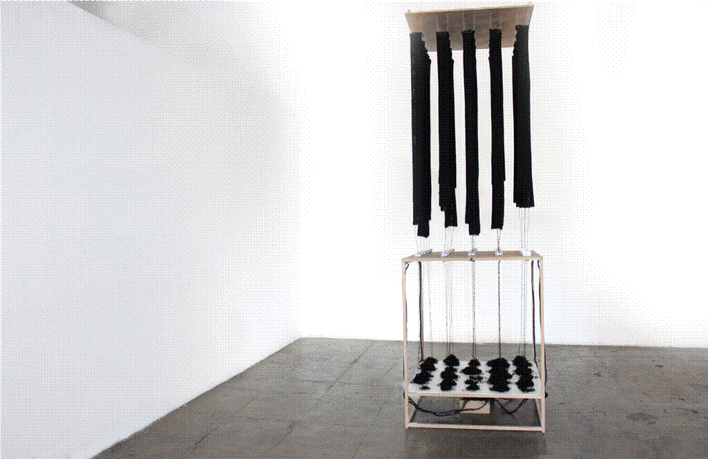 Marina Corach.