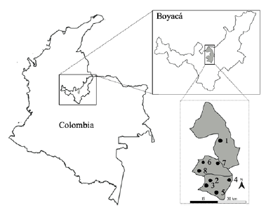 Map of Colombia showing the department of Boyacá and the municipalities of Paipa, Tota, and Toca, where the animals were sampled (Table 1 gives herd numbers for each municipality).