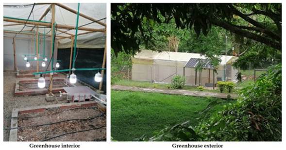 Physical internal and external structure of the greenhouse.