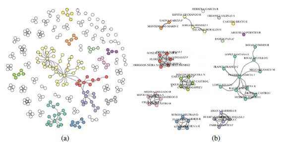 Author collaboration network. (a) All-authors. (b) Top 40 authors.
