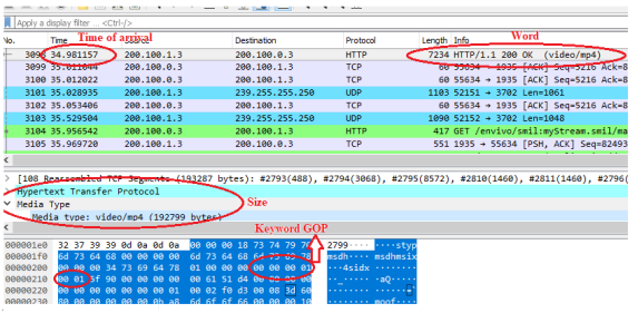 Screenshot of traffic trace with Wireshark