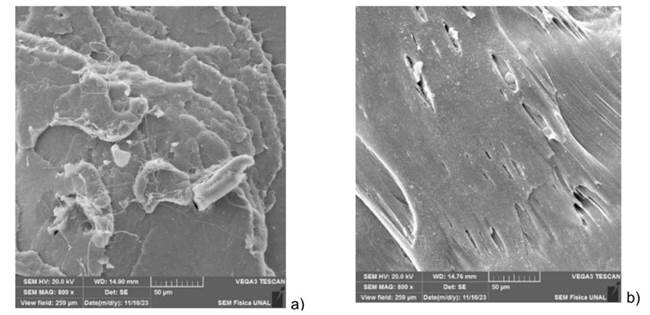 Filament micrographs: a) PLA-R, b) PLA-S