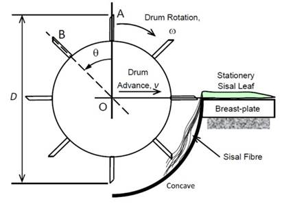 Kinematic model of a decorticator machine 11