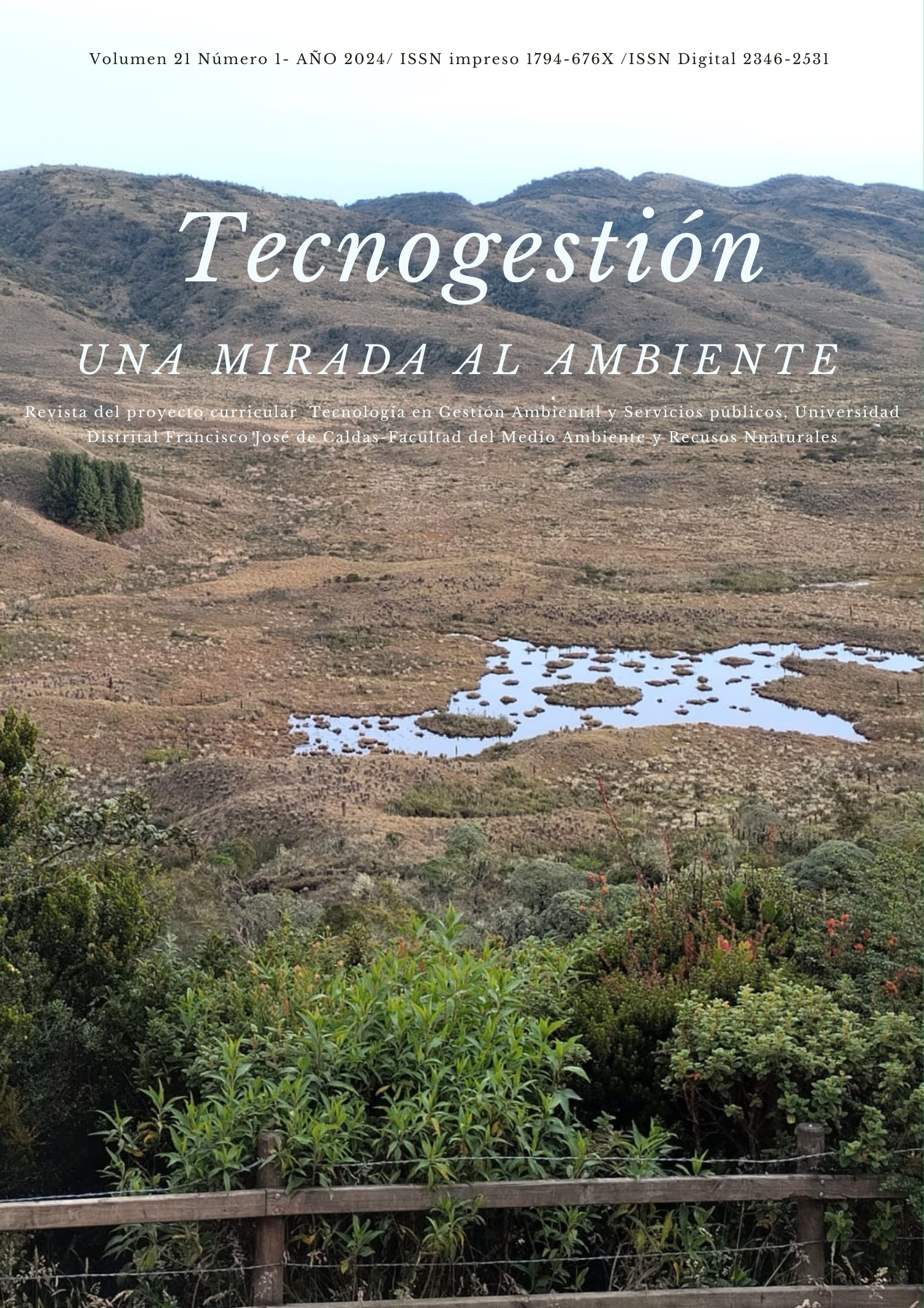 					Ver Vol. 21 Núm. 1 (2024): Revista Tecnogestión: Una mirada al ambiente
				